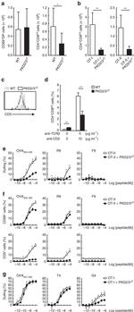 TCR beta Antibody in Flow Cytometry (Flow)