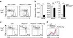 TCR beta Antibody in Flow Cytometry (Flow)