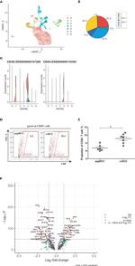 CD8 Antibody in Flow Cytometry (Flow)