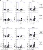 CD4 Antibody in Flow Cytometry (Flow)