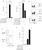 CD4 Antibody in Flow Cytometry (Flow)