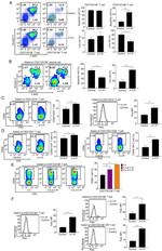 CD178 (Fas Ligand) Antibody in Flow Cytometry (Flow)