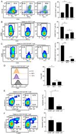 CD178 (Fas Ligand) Antibody in Flow Cytometry (Flow)