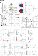 CD4 Antibody in Flow Cytometry (Flow)