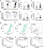 CD33 Antibody in Flow Cytometry (Flow)