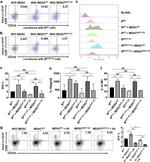 IL-10 Antibody in Flow Cytometry (Flow)