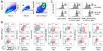 CD11c Antibody in Flow Cytometry (Flow)