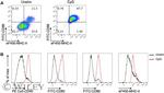 CD86 (B7-2) Antibody in Flow Cytometry (Flow)