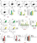 CD14 Antibody in Flow Cytometry (Flow)