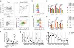 CD25 Antibody in Flow Cytometry (Flow)