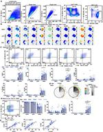 TIGIT Antibody in Flow Cytometry (Flow)