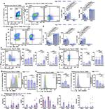 EOMES Antibody in Flow Cytometry (Flow)