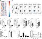 CD199 (CCR9) Antibody in Flow Cytometry (Flow)