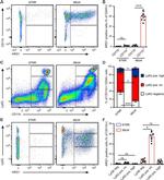 Arginase 1 Antibody in Flow Cytometry (Flow)