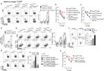 IL-13 Antibody in Flow Cytometry (Flow)