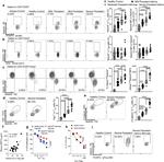 HELIOS Antibody in Flow Cytometry (Flow)