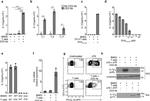 IL-1 beta (Pro-form) Antibody in Flow Cytometry (Flow)