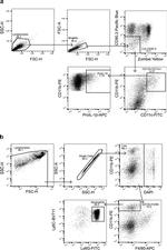 IL-1 beta (Pro-form) Antibody in Flow Cytometry (Flow)