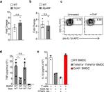 IL-1 beta (Pro-form) Antibody in Flow Cytometry (Flow)