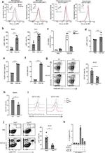 IL-1 beta (Pro-form) Antibody in Flow Cytometry (Flow)