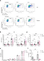 IFN gamma Antibody in Flow Cytometry (Flow)