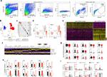 CD45 Antibody in Flow Cytometry (Flow)