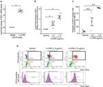 IDO Antibody in Flow Cytometry (Flow)