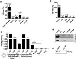 Hepatitis B Virus Surface Ad/Ay Antibody in Affinity Purification (AP)