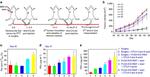 CD3e Antibody in Flow Cytometry (Flow)