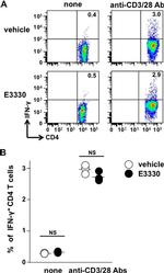 CD28 Antibody in T-Cell Activation (TCA)