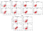 COX2 Antibody in Flow Cytometry (Flow)