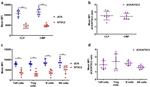 DCK Antibody in Flow Cytometry (Flow)