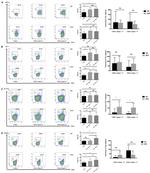 IL-4 Antibody in Flow Cytometry (Flow)