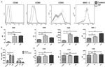 MHC Class II (I-A/I-E) Antibody in Flow Cytometry (Flow)