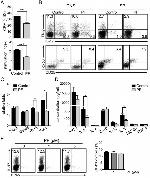 IL-17A Antibody in Flow Cytometry (Flow)