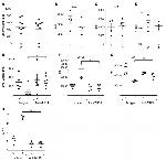 MHC Class II (I-A/I-E) Antibody in Flow Cytometry (Flow)