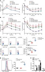 CD69 Antibody in Flow Cytometry (Flow)