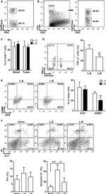 Granzyme B Antibody in Flow Cytometry (Flow)