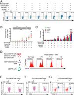 CD4 Antibody in Flow Cytometry (Flow)