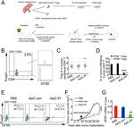 CD4 Antibody in Flow Cytometry (Flow)