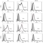 MAP2 Antibody in Flow Cytometry (Flow)