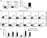 GFAP Antibody in Flow Cytometry (Flow)