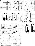 TNF alpha Antibody in Flow Cytometry (Flow)