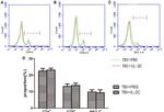 NK1.1 Antibody in Flow Cytometry (Flow)