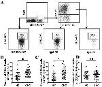 CD27 Antibody in Flow Cytometry (Flow)