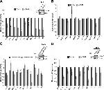 SNRPD1 Antibody in Western Blot (WB)