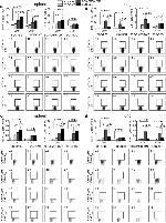 IL-2 Antibody in Flow Cytometry (Flow)