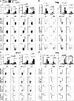 IL-2 Antibody in Flow Cytometry (Flow)