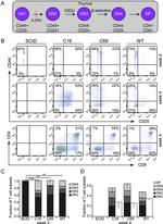 CD25 Antibody in Flow Cytometry (Flow)