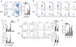 TNF alpha Antibody in Flow Cytometry (Flow)